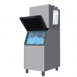 ICEZONE Ultra - Optimizador de Limpieza para Máquinas de Hielo (Biozone Scientific)