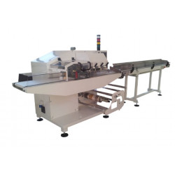 Empacadora Horizontal / Flow Pack - BT600 (DM Packaging)